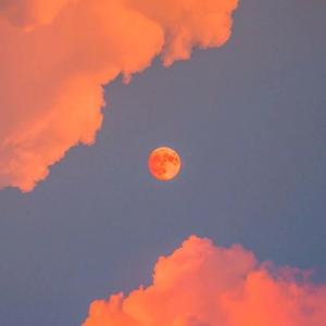 男人鸡鸡插入女人逼逼的视频
